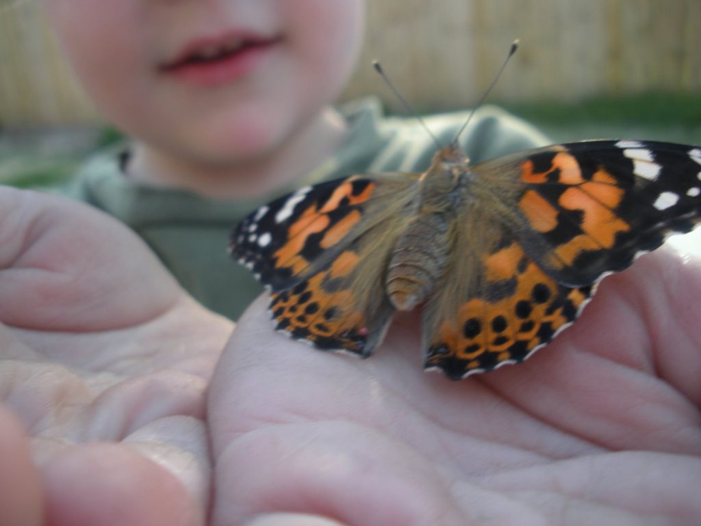 Painted Lady with Boy