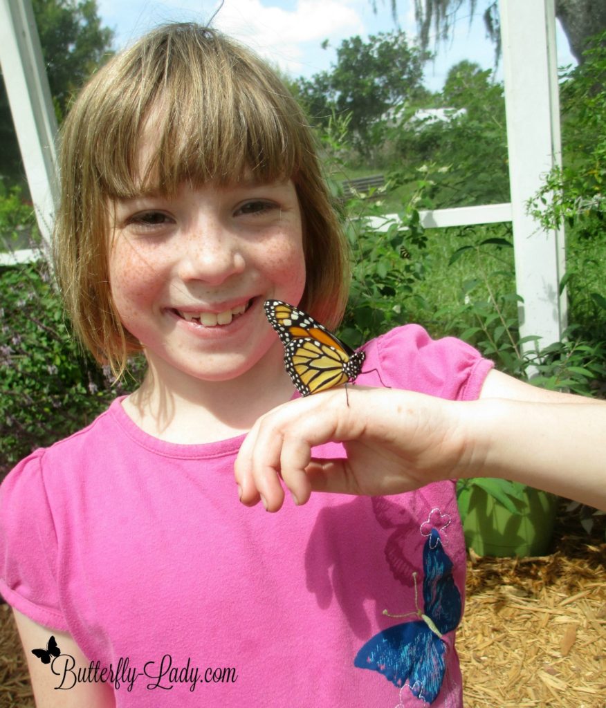 Monarch on Girl's Hand