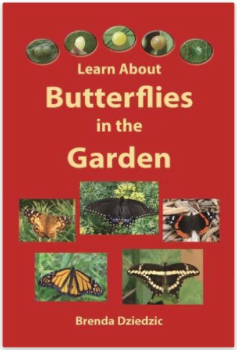 Learn about Butterflies in the Garden