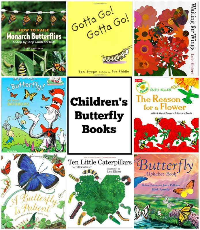 Top Ten Children’s Butterfly Books Butterfly Lady