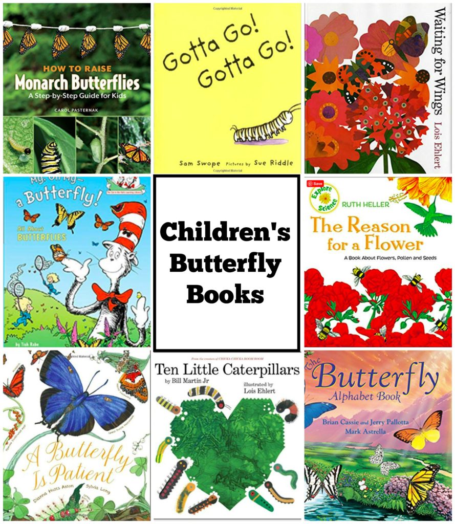 Top Ten Children’s Butterfly Books Butterfly Lady