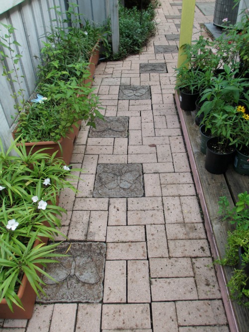 Butterfly Walkway Entices Visitors