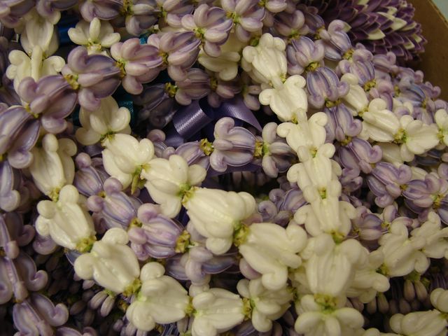 Crown-Flower Leis