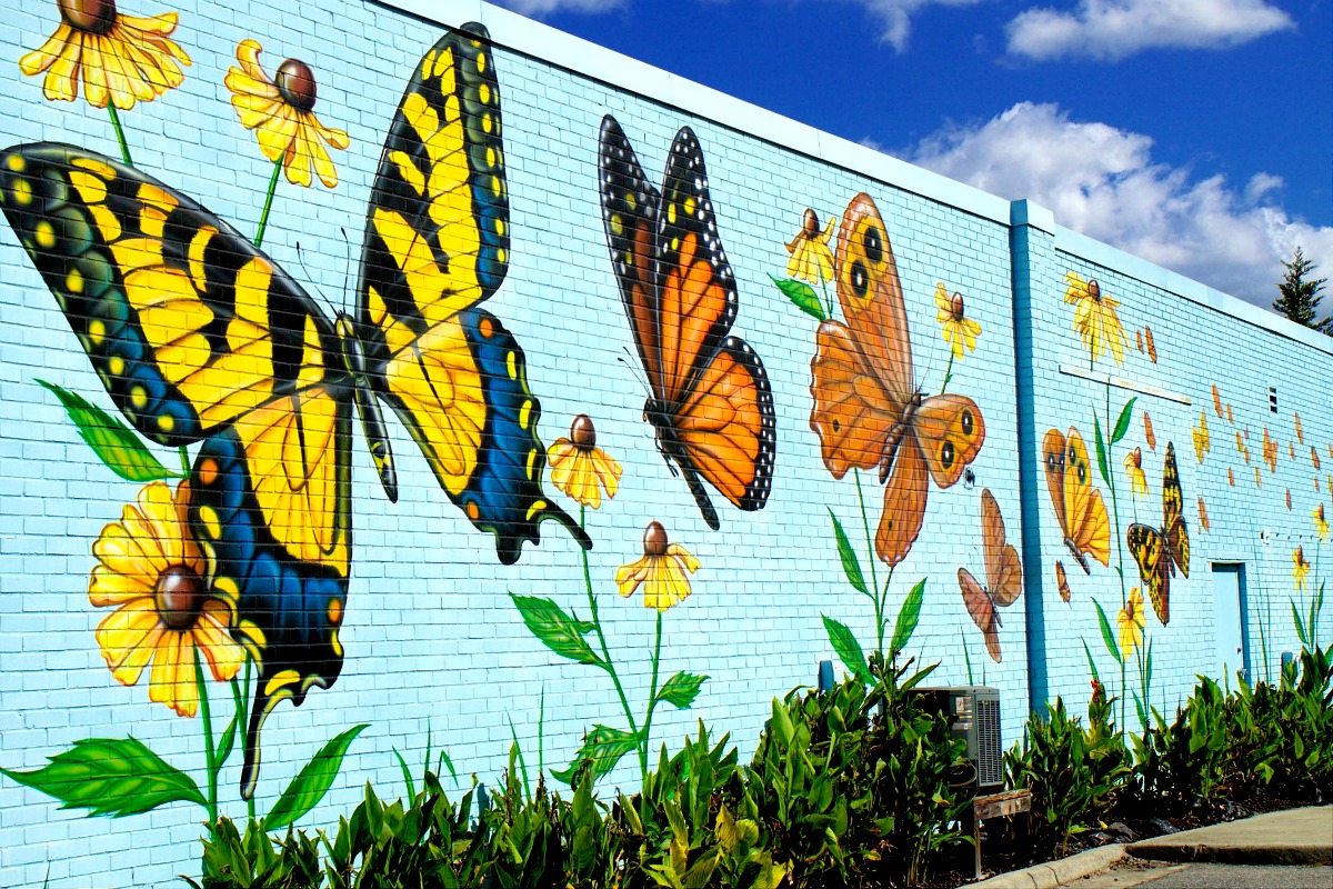 butterfly murals