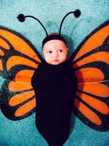 butterfly halloween costume