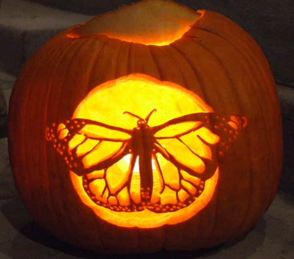 butterflies-and-pumpkins-butterfly-lady